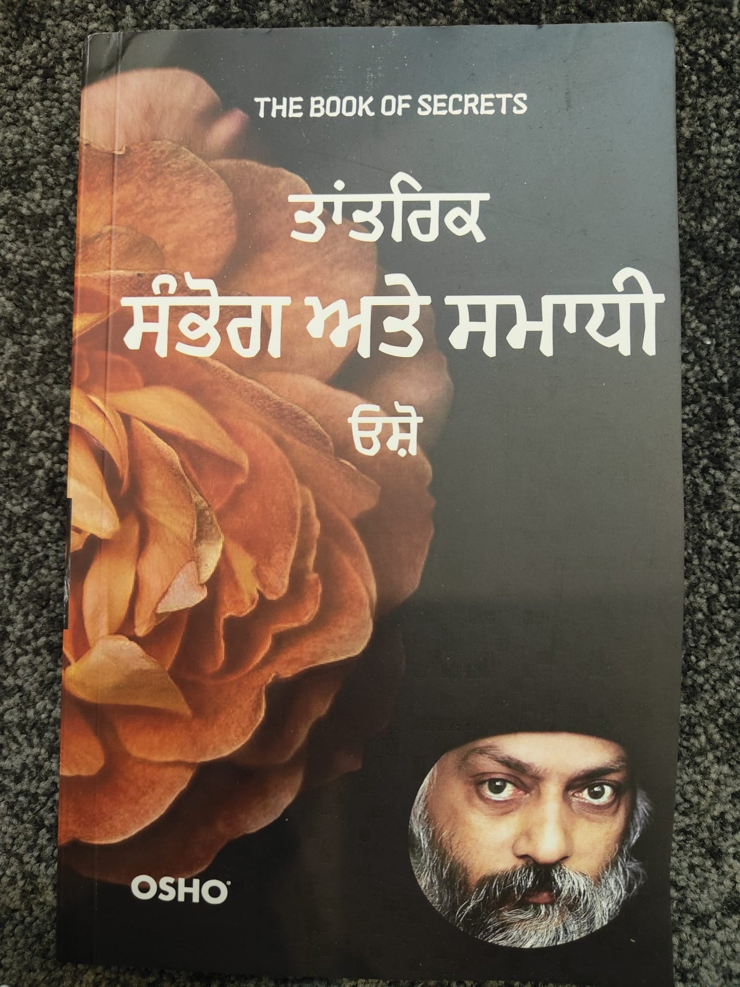 Punjabi Book