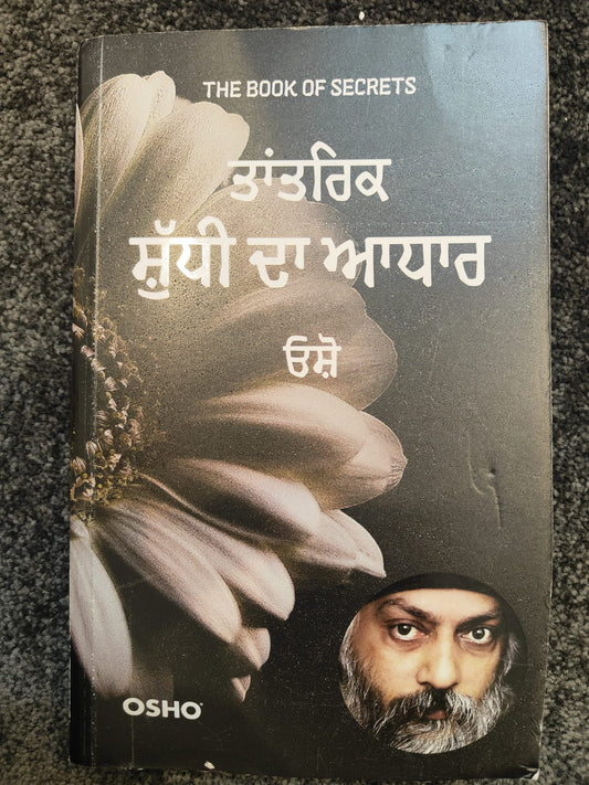 Punjabi Book